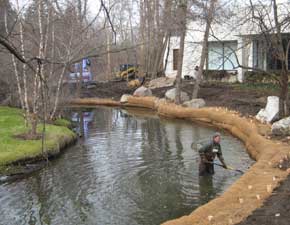 Rouge River Bank Restoration